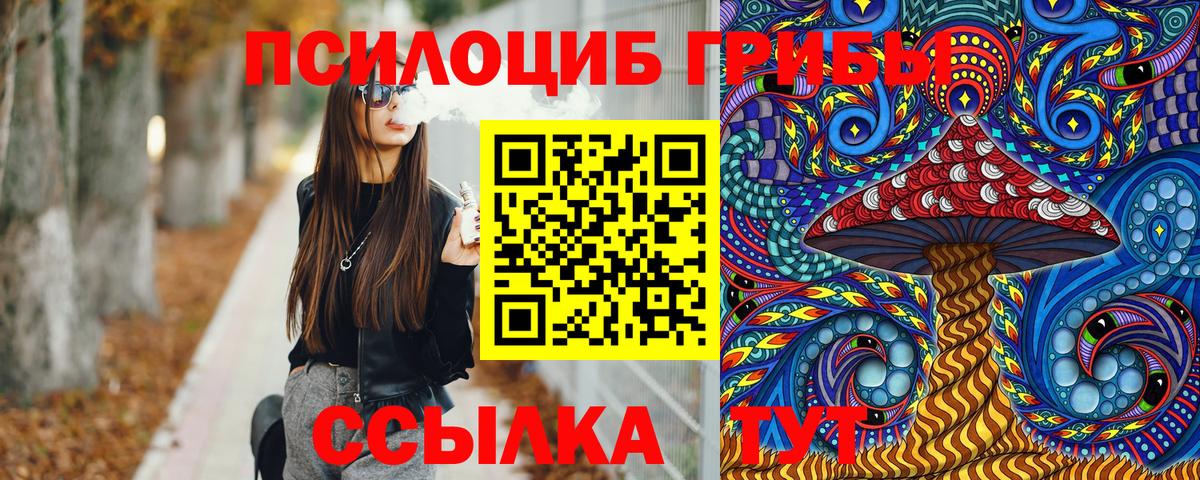 Псилоцибиновые грибы GOLDEN TEACHER  наркота  Псилоцибиновые грибы GOLDEN TEACHER  Шарыпово  Вход с VPN 