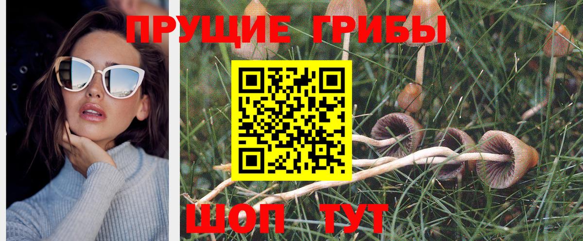 Псилоцибиновые грибы ЛСД Шарыпово